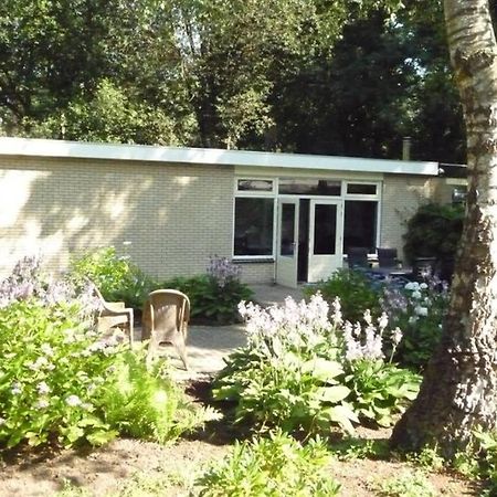 Luxe Recreatiebungalow Zelhem Exteriér fotografie