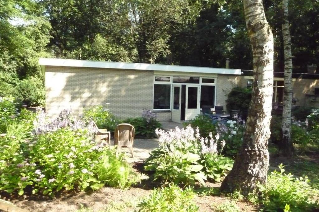 Luxe Recreatiebungalow Zelhem Exteriér fotografie